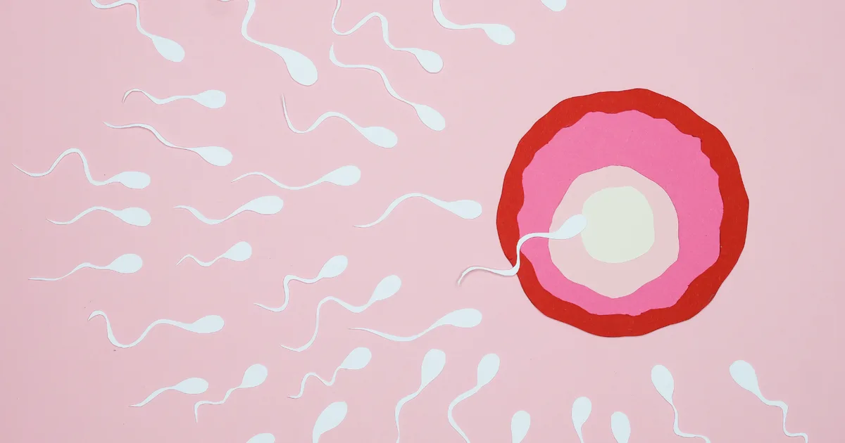 Illustration en papier découpé de spermatozoïdes se dirigeant vers un ovule