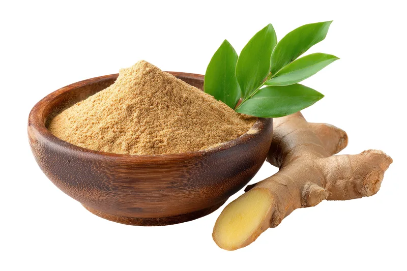 Racine de gingembre — tonique de la digestion et de la circulation