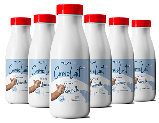 Lait de chamelle frais — remède prophétique riche en immunoglobulines