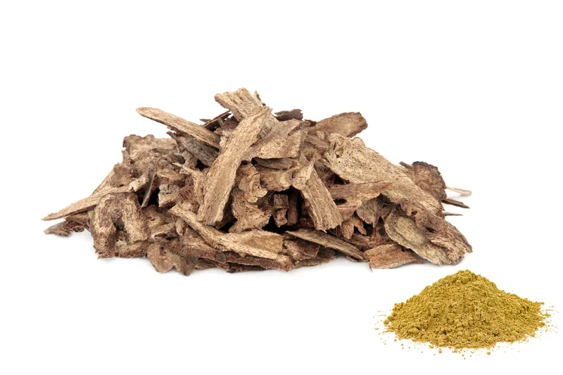 Morceaux de bois et poudre de Qust al-Bahri (costus maritime)